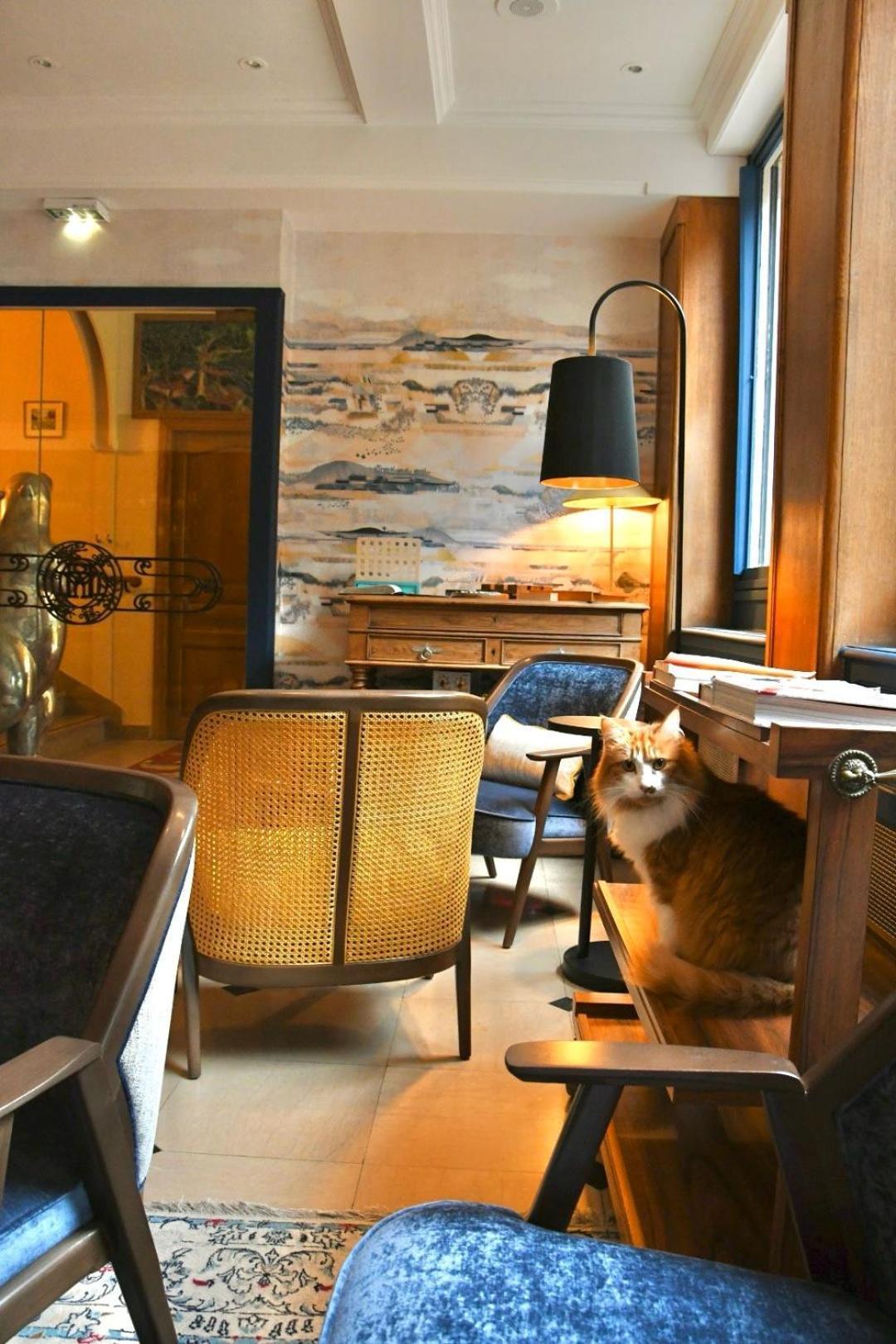 Le Moulin Des Ruats Otel Avallon Dış mekan fotoğraf